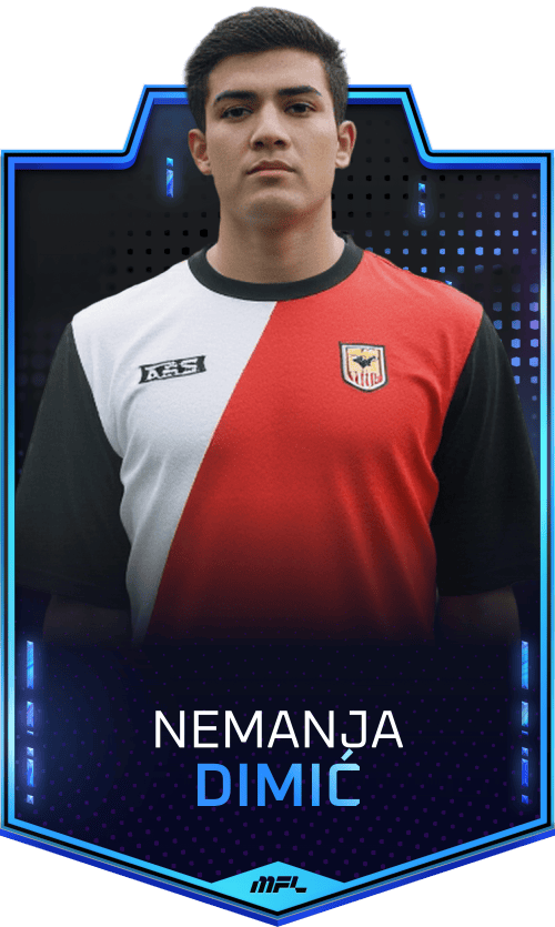 Nemanja Dimić asset
