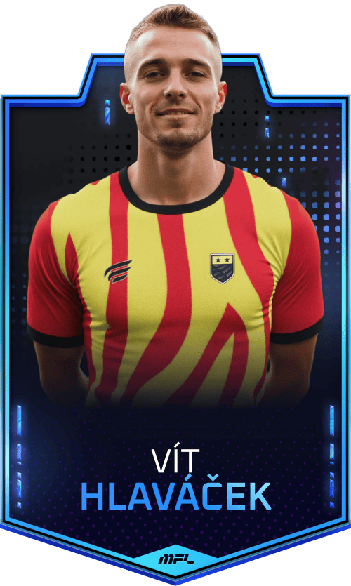 Vít Hlaváček asset