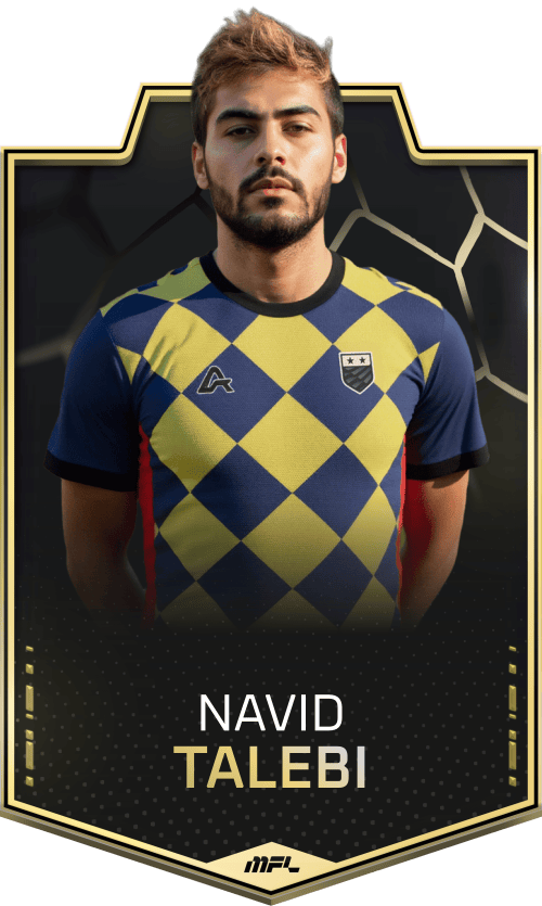 Navid Talebi asset