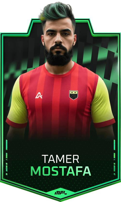 Tamer Mostafa asset