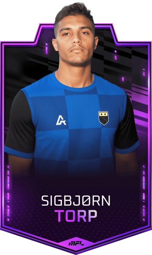 Sigbjørn Torp asset