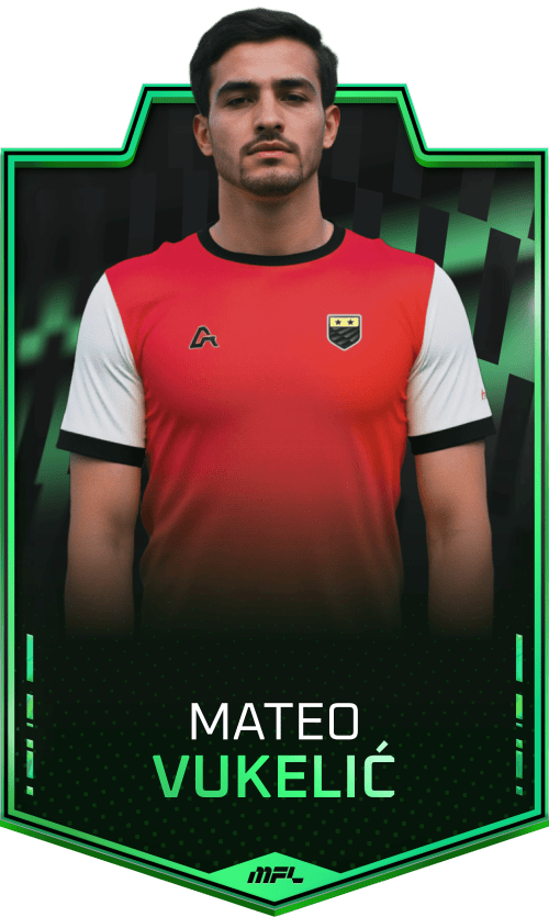 Mateo Vukelić asset