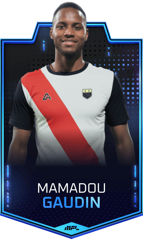 Mamadou Gaudin asset