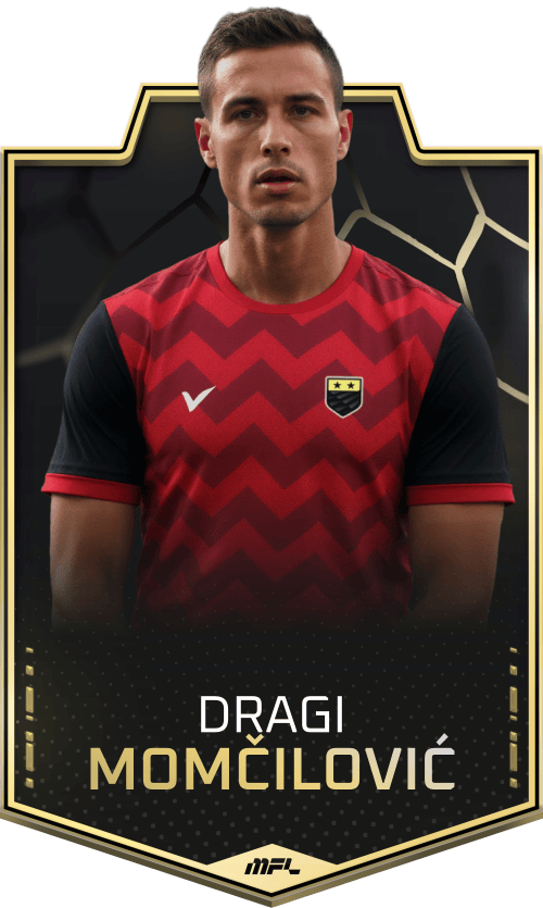 Dragi Momčilović asset