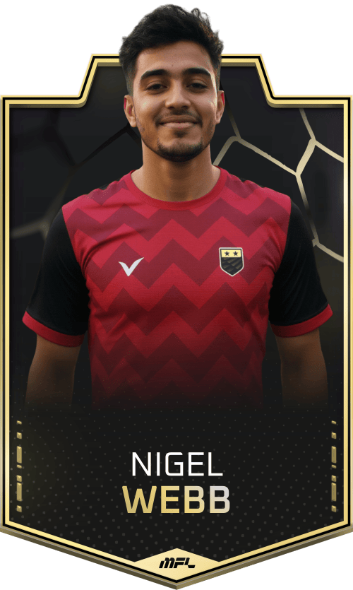 Nigel Webb asset
