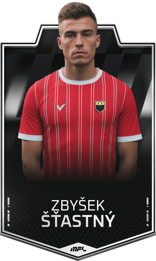 Zbyšek Šťastný asset