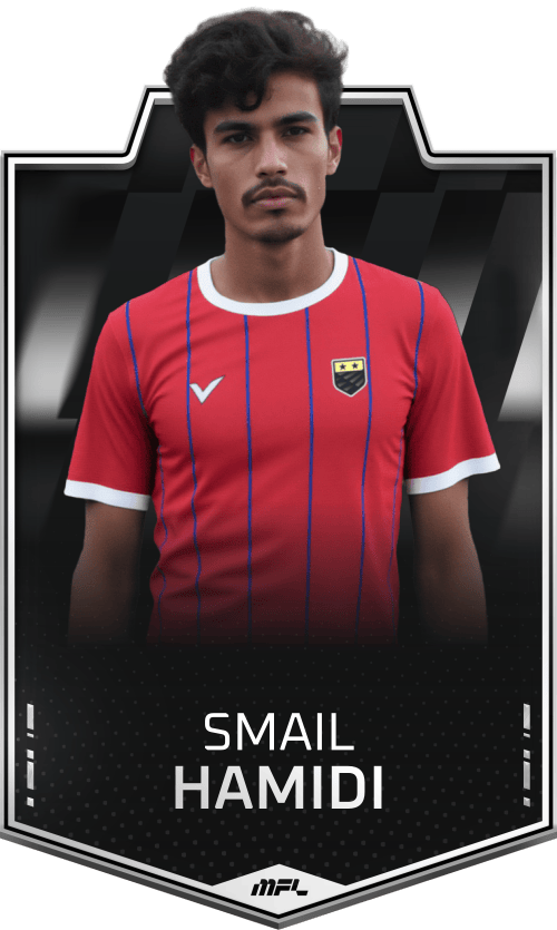 Smail Hamidi asset
