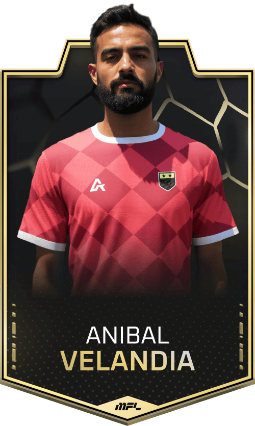 Anibal Velandia asset