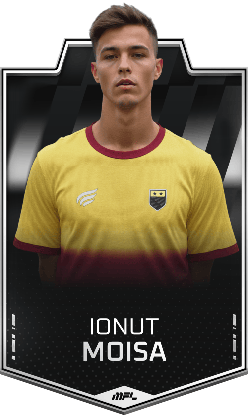 Ionut Moisa asset
