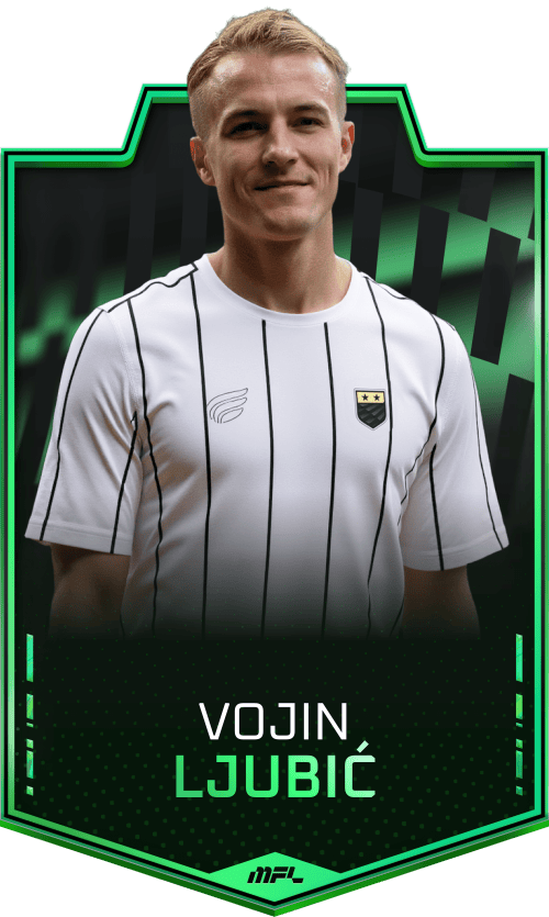 Vojin Ljubić asset