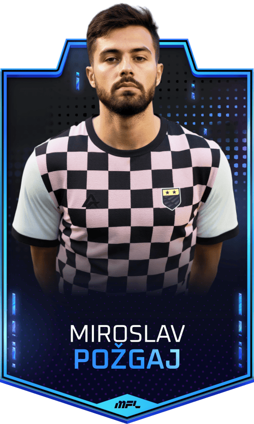 Miroslav Požgaj asset