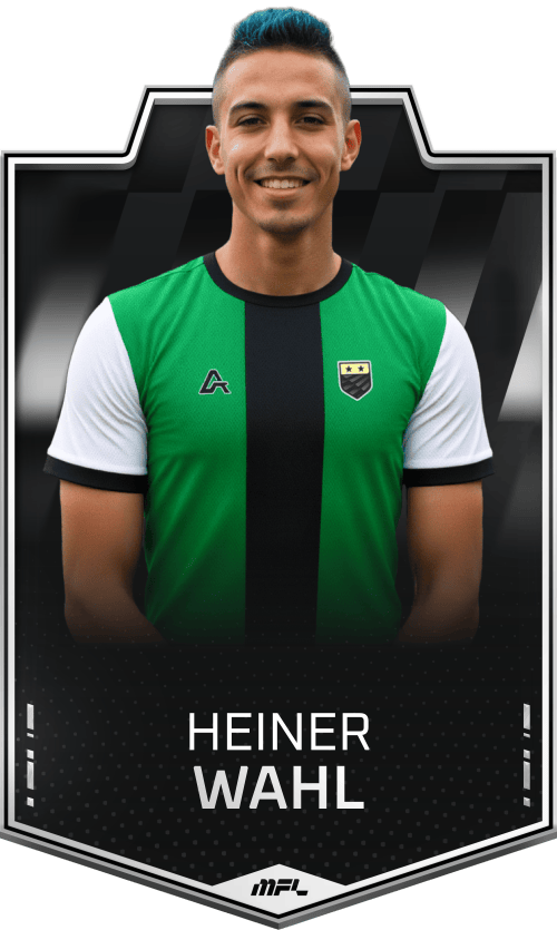Heiner Wahl asset