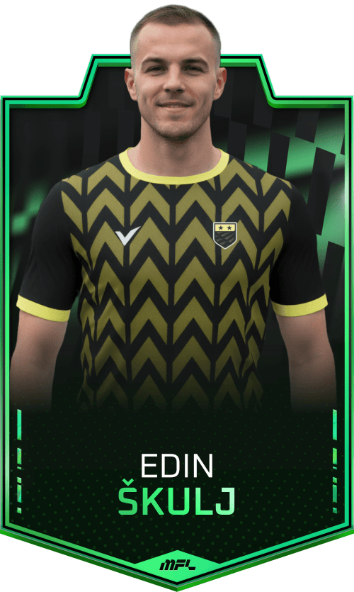 Edin Škulj asset