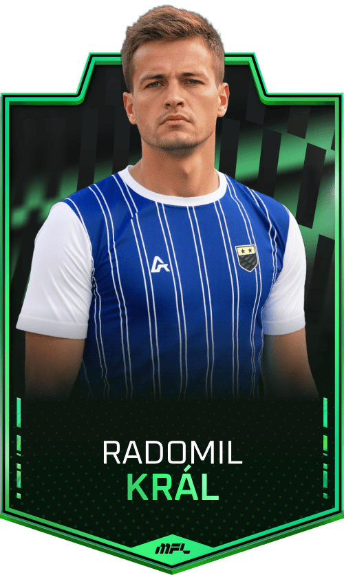Radomil Král asset