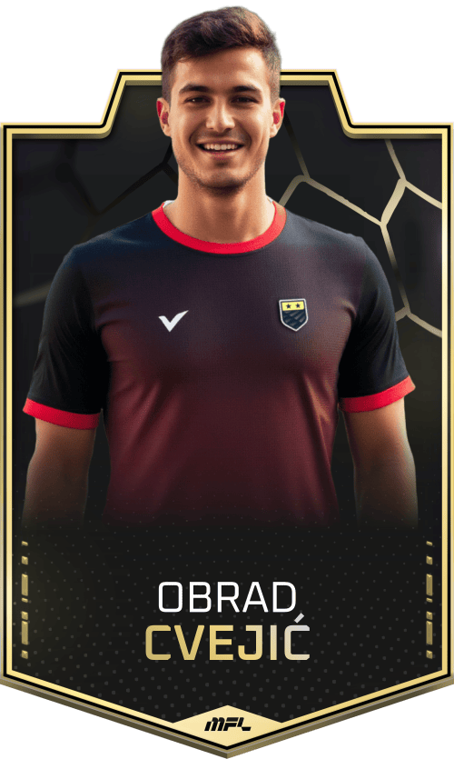 Obrad Cvejić asset
