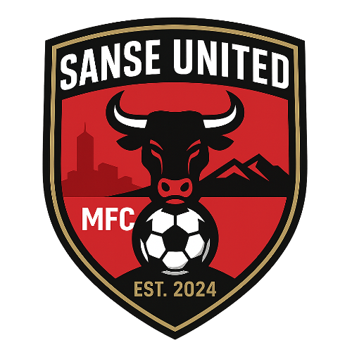 Sanse United MFC asset