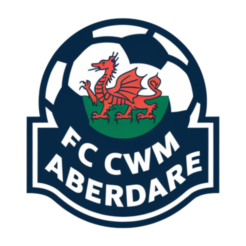 FC Cwm Aberdare asset
