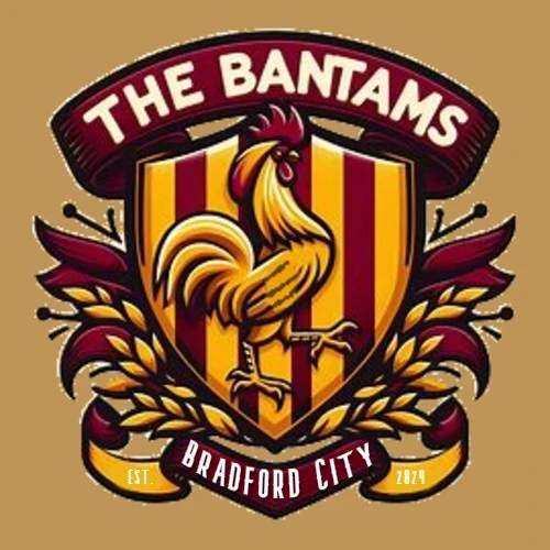 Bradford City asset
