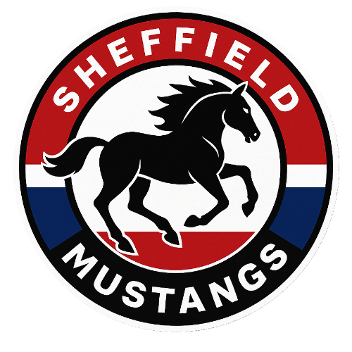 Sheffield Mustangs asset