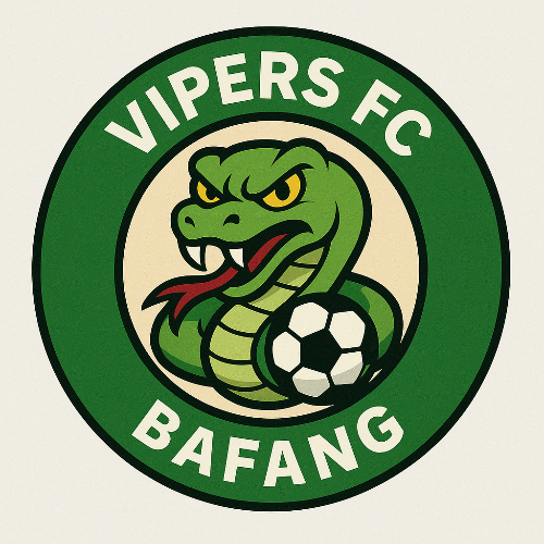 Bafang Vipers FC asset