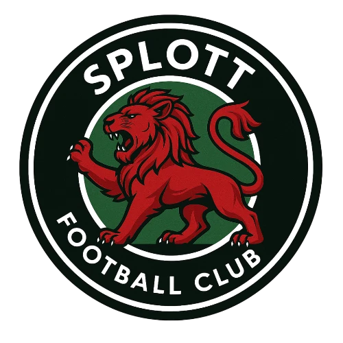 Splott  asset