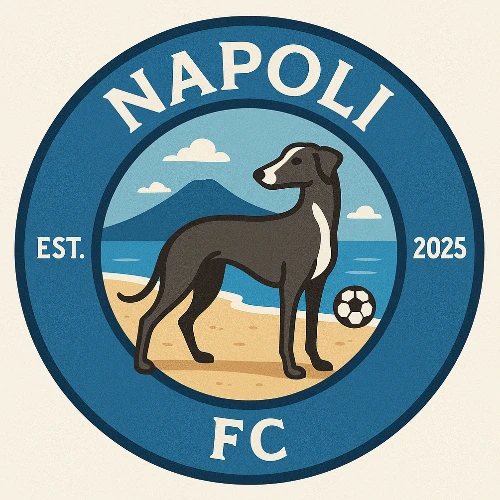 Napoli MFC asset