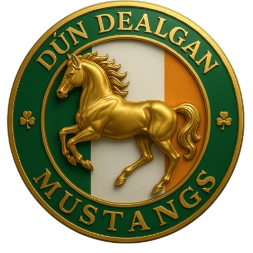 Dún Dealgan mustangs  asset