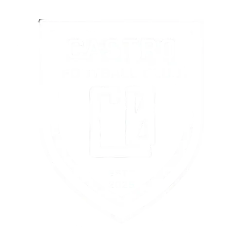 Castr0 F.C. asset