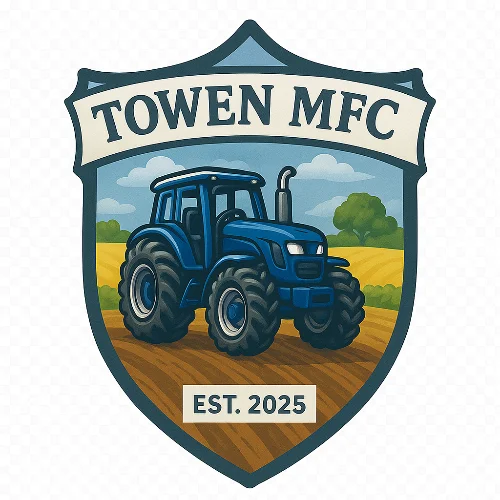 Towen MFC Ulsan asset